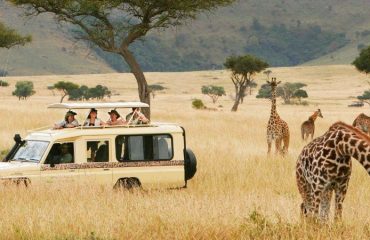 Why-is-Lake-Manyara-National-Park-the-top-Tanzania-tourist-destination